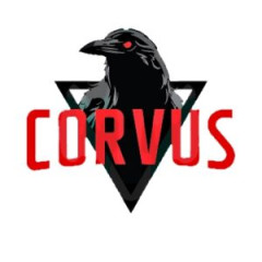 Corvus Corvus