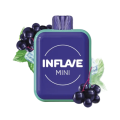 INFLAVE MINI 1000 Мятная бузина